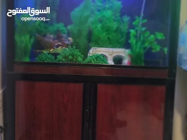 حوض سامب متر واحد للبيع