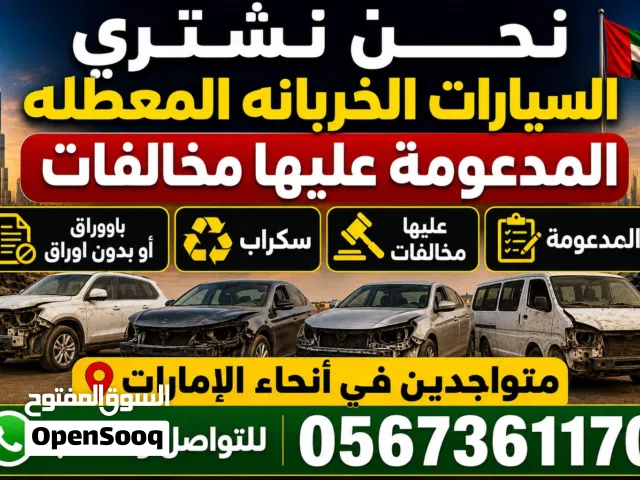 شراء السيارات كاش