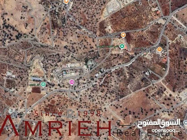 Residential Land for Sale in Amman Badr Jdedeh