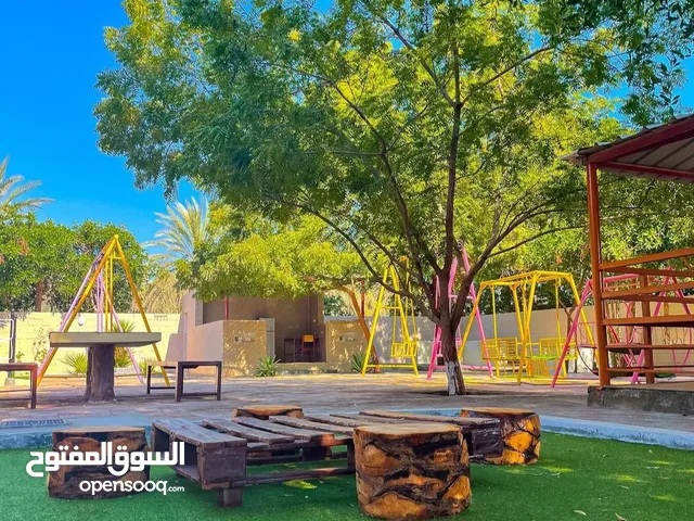 Studio Chalet for Rent in Al Batinah Saham