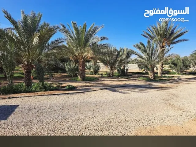 Farm Land for Sale in Amman Al-Khreim