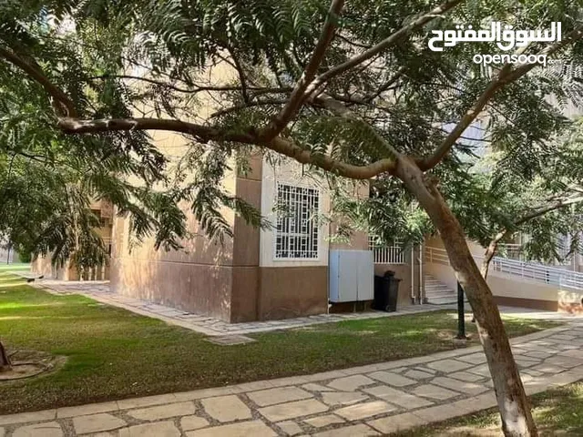 64 m2 Studio Apartments for Sale in Cairo Madinaty