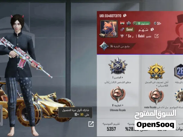 Pubg Accounts and Characters for Sale in Basra