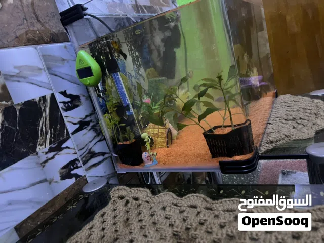حوض سمك للبيع