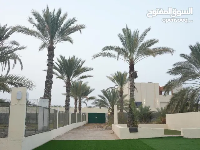 #زراعية قريات العينيين 7270 متر فرصة مناسبة بامتياز