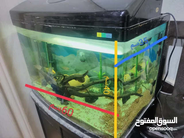للبيع خوص سمك مع كامل اغراضه 60/40