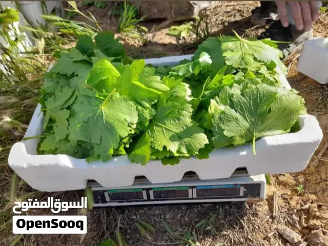 ورق دوالي اسود نخب