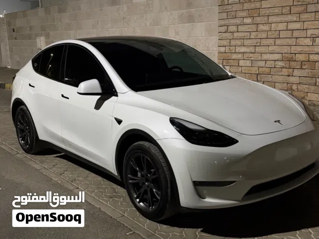 2025 Tesla Model Y Long Range