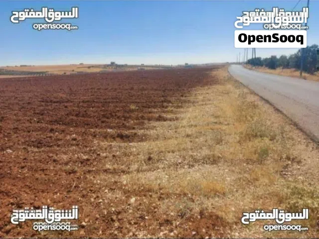 Farm Land for Sale in Mafraq Rhab