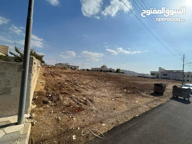 Residential Land for Sale in Amman Al-Dmenah