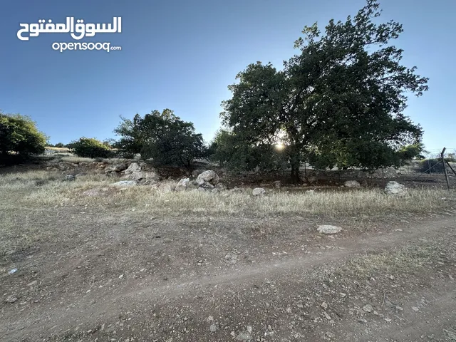 Residential Land for Sale in Amman Abu Al-Nair