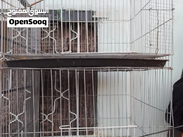 قفص ارانب وحمام للبيع