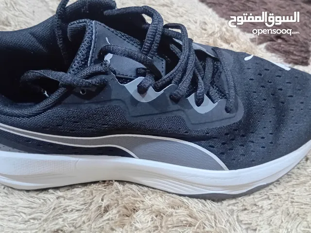 40 Sport Shoes in Amman