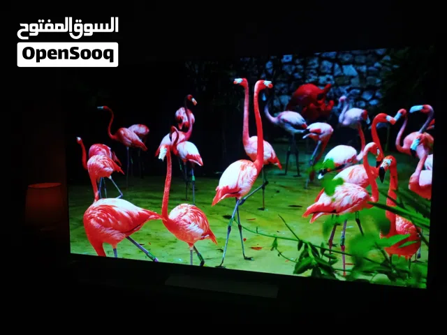 شاشة C5 OLED LG بحجم 77 بوصة مدعومة ىتقنىة evo OLED المعتمدة على معالد Al a9 Gen8 Processor الذى يست