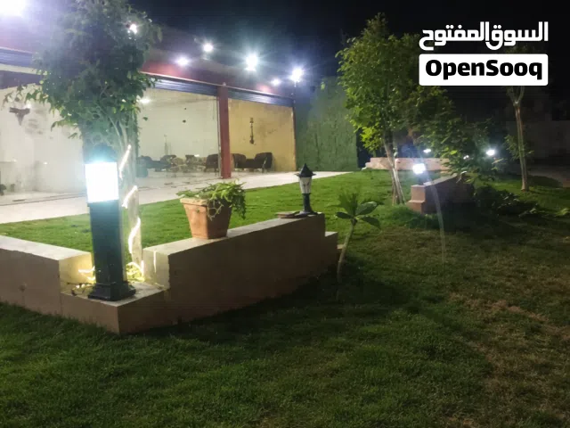 قهوة أرقيلة للبيع