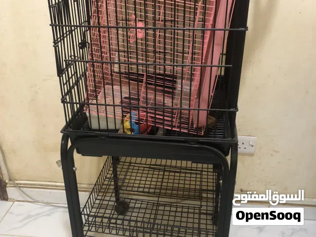 Bird cages for sale