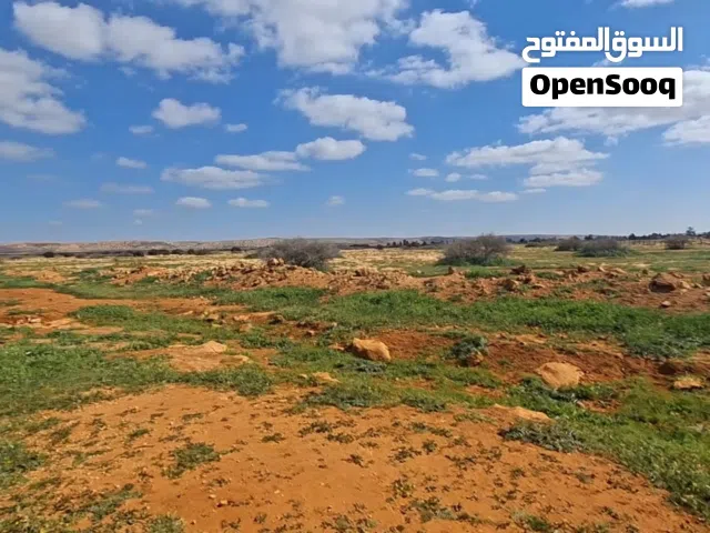 Farm Land for Sale in Benghazi Bu Hadi
