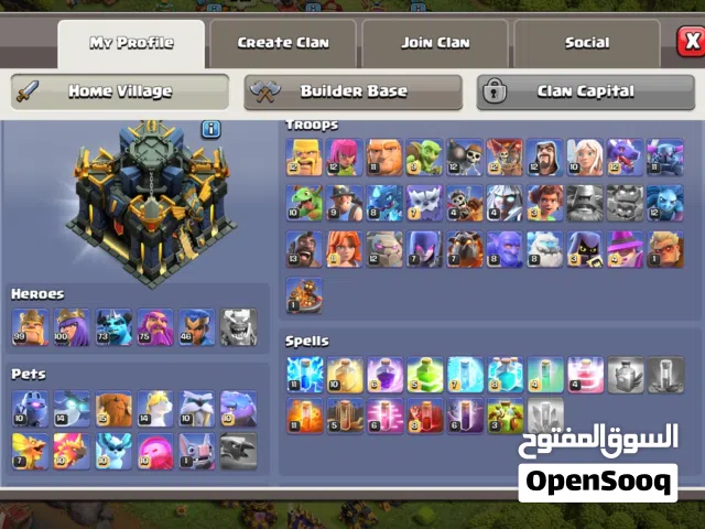 Accounts - Others Accounts and Characters for Sale in Northern Governorate