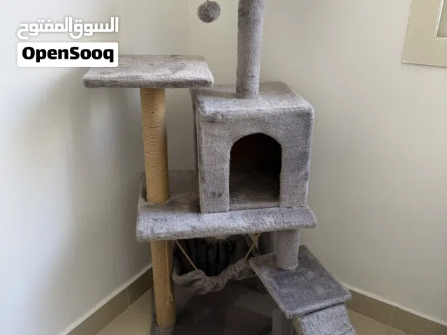أغراض قطط متنوعة