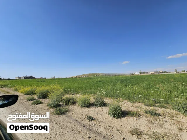 Farm Land for Sale in Tafila Al-Rashadiyyah