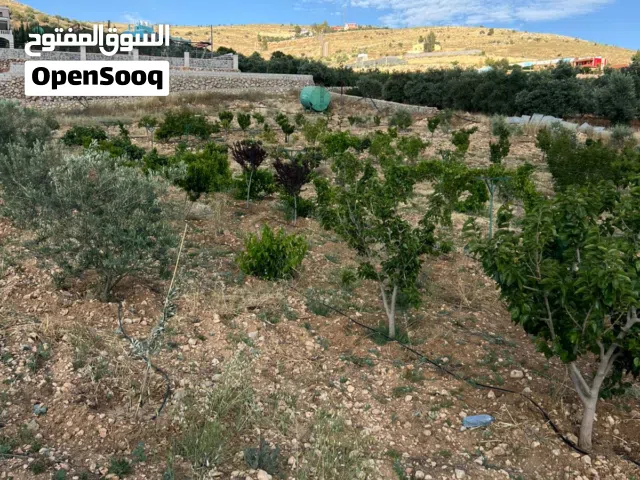 Farm Land for Sale in Jerash Unaybah