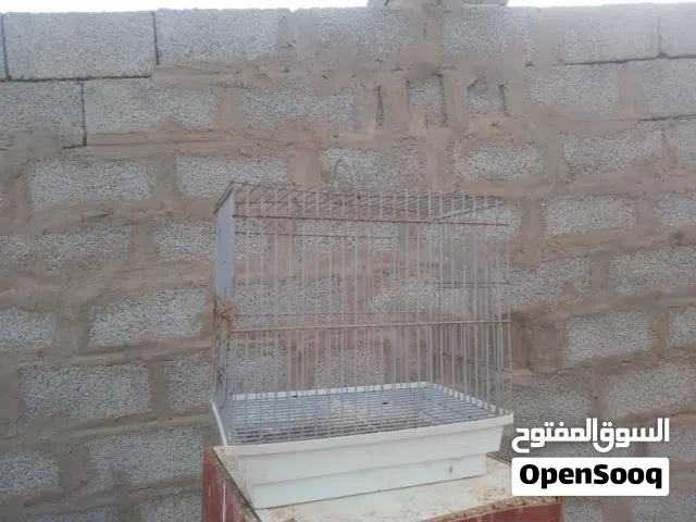 قفص لي البيع