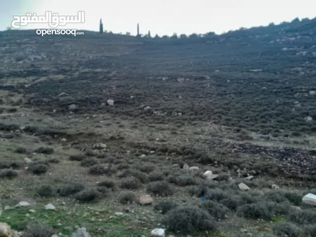 Mixed Use Land for Sale in Jenin Jaba'