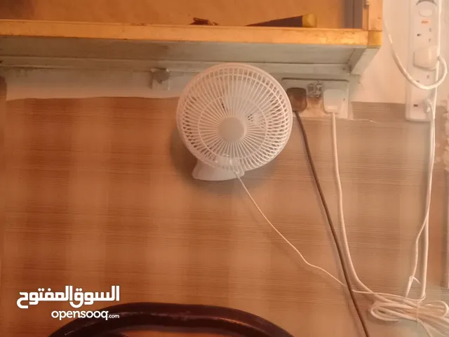 single room for rent
