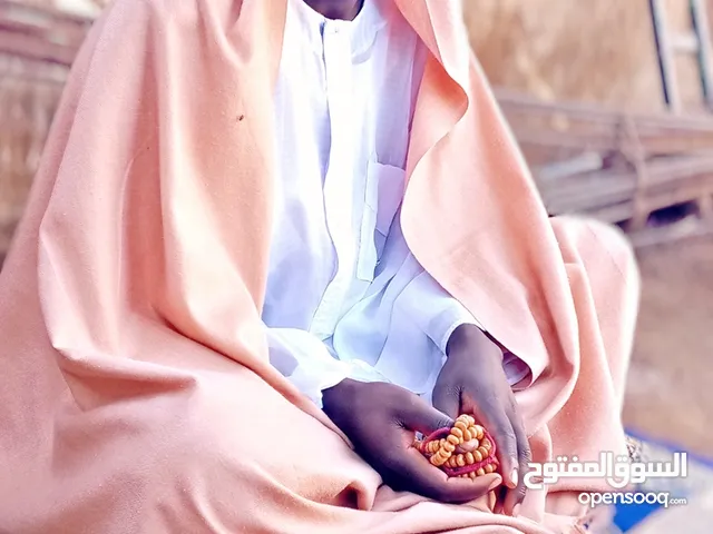 MUS'ABU ABDULLAHI