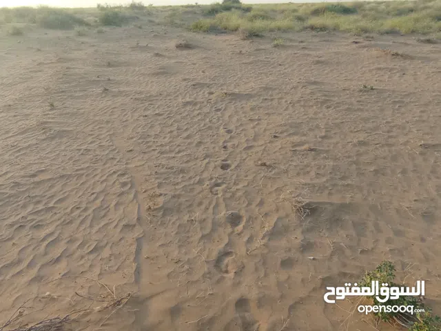 مزرعه للبيع