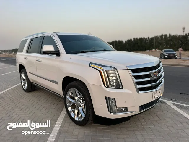 Used Cadillac Escalade in Ajman