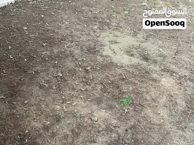 Farm Land for Sale in Baghdad Dora