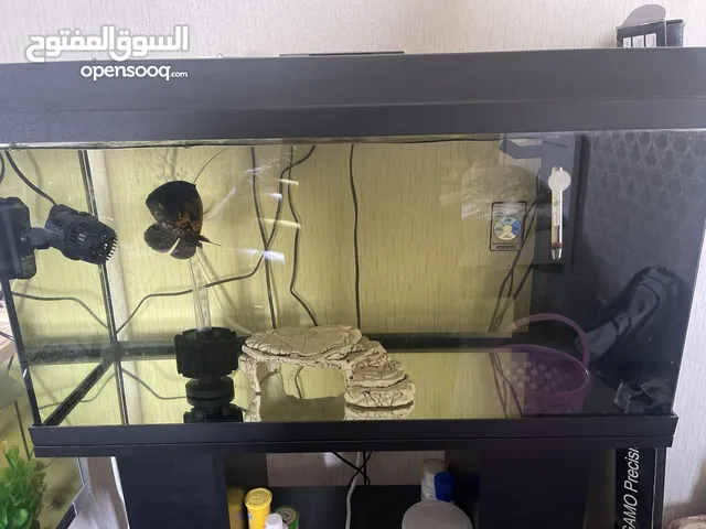 Juwel aquarium 100L new condition with all accessories everything is like new with the table
