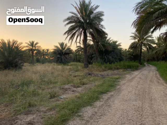 نص دونم ( 1،250 ) للبيع