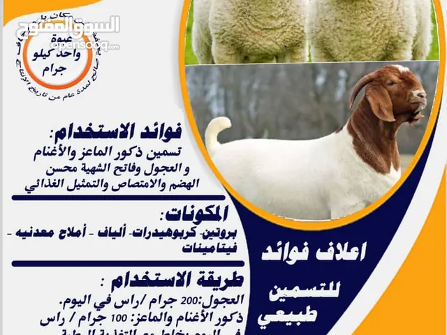 اعلاف مركزه حيوانية ( للتسمين - لزيادة انتاج الحليب )