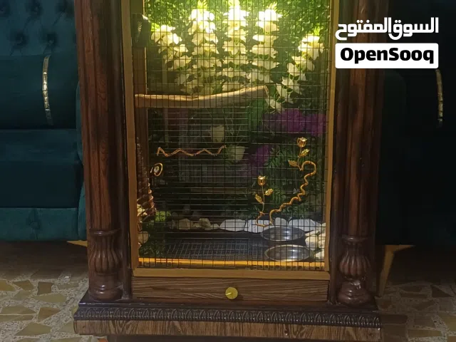 قفص للطيور زينه
