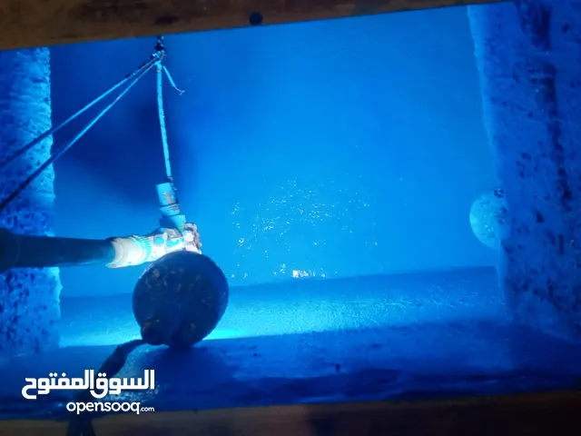 عزل الأسطح والخزانات وكشف تسريب المياه