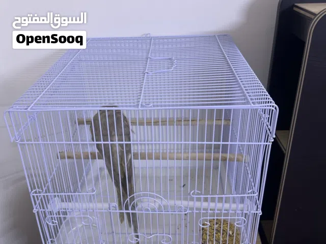 للبيع كروان