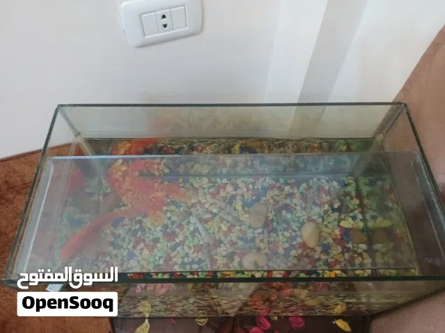 حوض سمك وفلتر وسمكه واكل مقاس 50سم وارتفاع 30سم