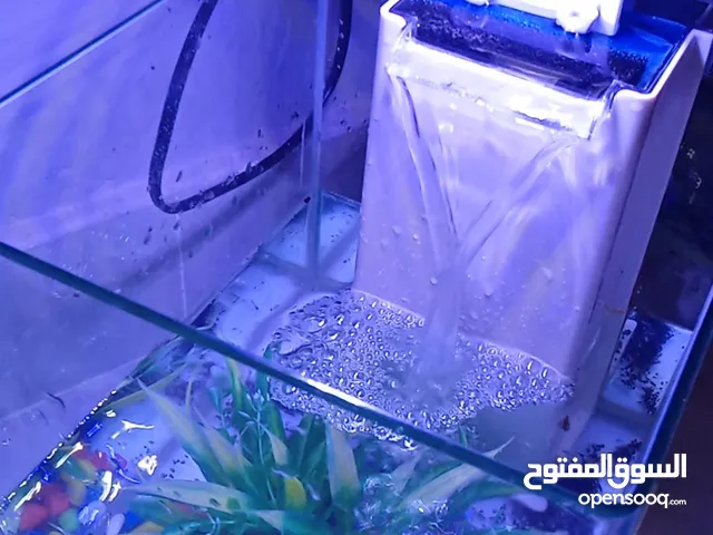 حوض اسماك قابل للتفاوض