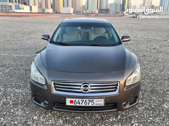 Maxima 2012 Full Option Perfect Condition Clean Car
