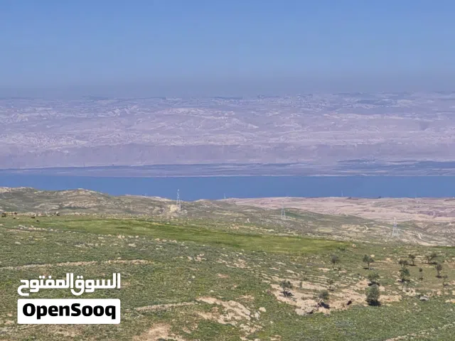 Farm Land for Sale in Madaba Mai'n