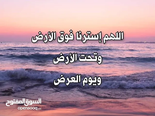 للبيع شركه مقاولا عازل شركه تجاره عامه للبيع المكاتب موجوده ماعليها أي مشاكل ولا مديونيات