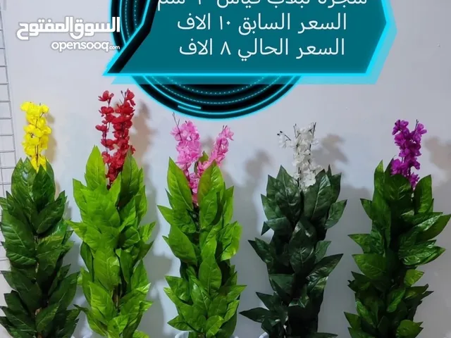 تخفيضات ع كل الورد انسب الاسعار البصره التميميه