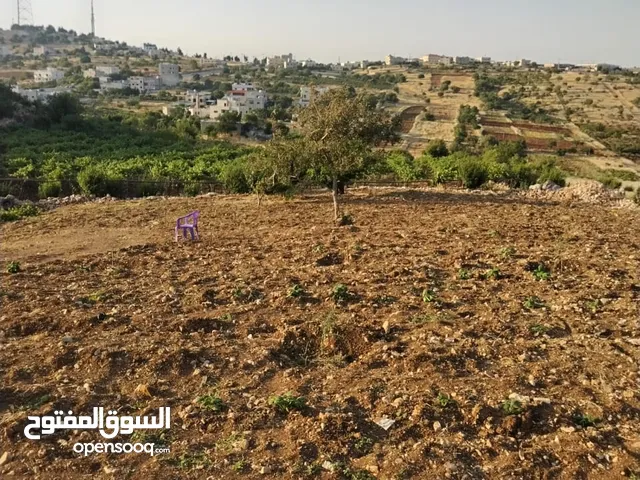 اعلان اراضي مميزه للبيع في عجلون - عبين ع طريق اربد