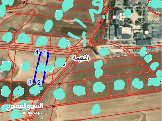 Farm Land for Sale in Irbid An-Nuayyimah