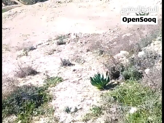 Residential Land for Sale in Irbid Aban