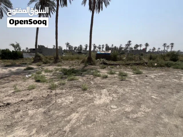Residential Land for Sale in Basra Al-Jazzera