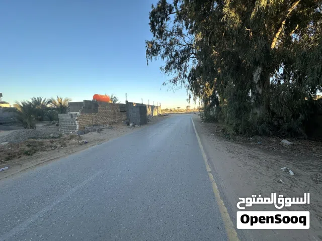 ارض عين زارة تبعد علي رئيسي عودة الحياة تقريبا اليالي 500 متر400