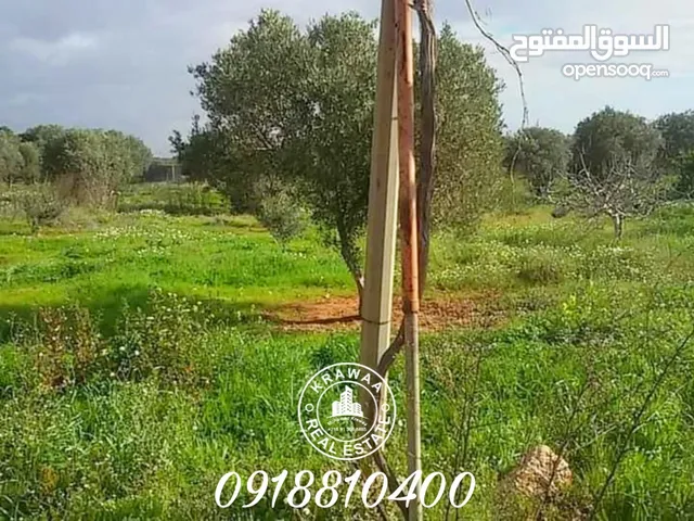 More than 6 bedrooms Farms for Sale in Benghazi Sidi Khalifa